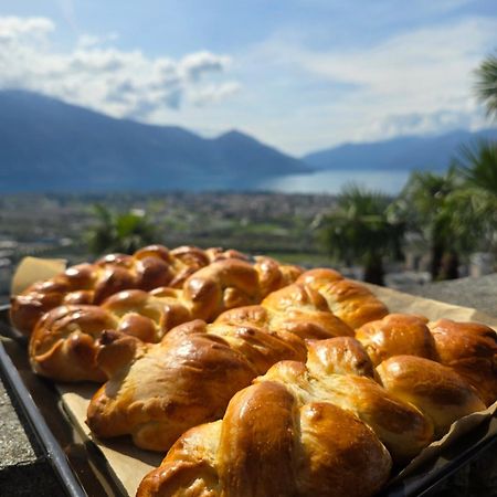 Pensione Olanda Hotel Locarno Exterior photo